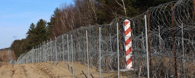 Польша объявила об окончании строительства стены на границе с Белоруссией