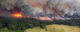 Пожароопасный сезон в Приморском крае начинается с 15 марта