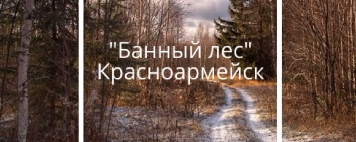 В Красноармейске 20 ноября обсудят благоустройство Банного леса