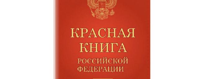 В Чувашии обнаружили сайты с предложениями о продаже редких животных