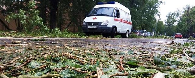 В Москве рухнувшее дерево убило женщину