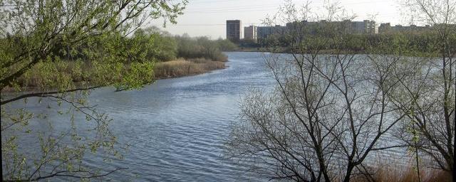 Курганцам рекомендовали эвакуироваться из зоны возможного подтопления