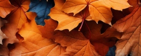 В Калуге организуют праздник «Калужские Осенины»