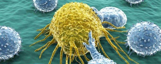 Немецкий ученый назвал лучший метод борьбы с раком