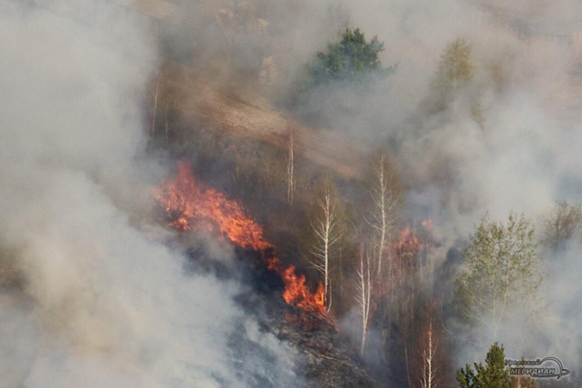 Площадь природных пожаров в Свердловской области увеличилась за сутки в семь раз