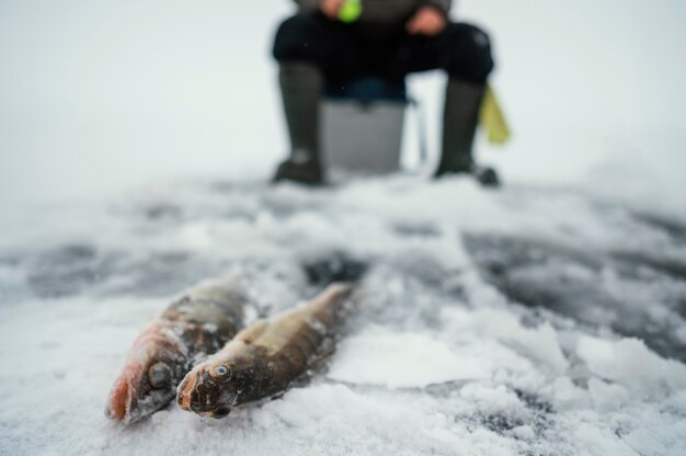 Красноярские пограничники выявили 8,5 тонн незаконно выловленной рыбы
