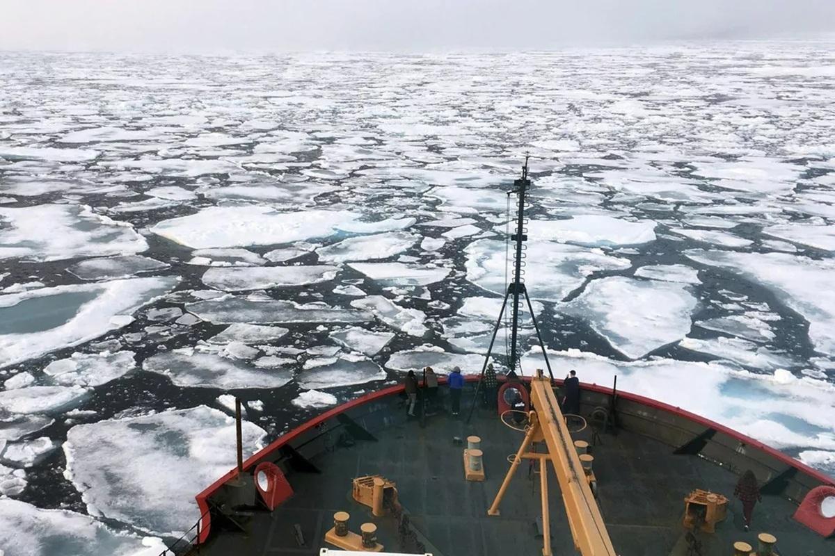Глобальное потепление позволит России заработать при условии правильной адаптации