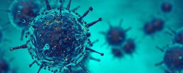 В Брянской области выявили 75 случаев коронавируса