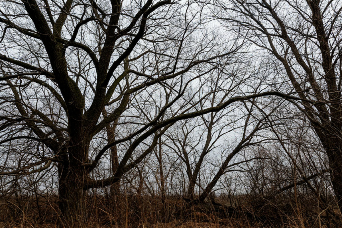В Московской области объявили штормовое предупреждение