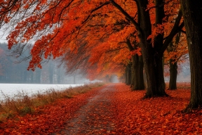 В Ярославле из-за похолодания начался отопительный сезон