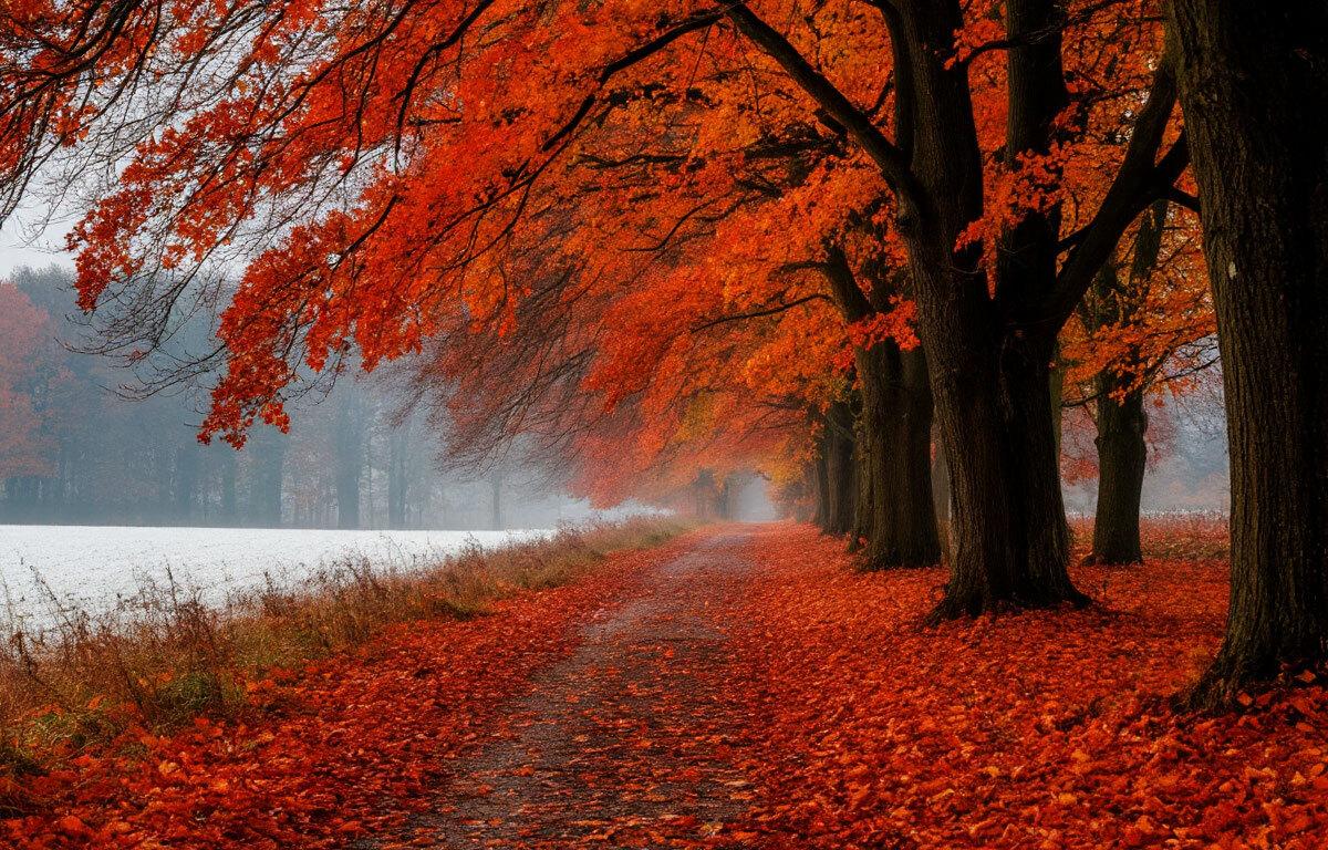 В Ярославле из-за похолодания начался отопительный сезон