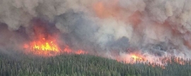 Дым сильнейших лесных пожаров Сибири достиг Аляски