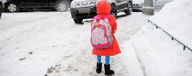 Из-за морозов в нескольких школах Костромской области отменили занятия