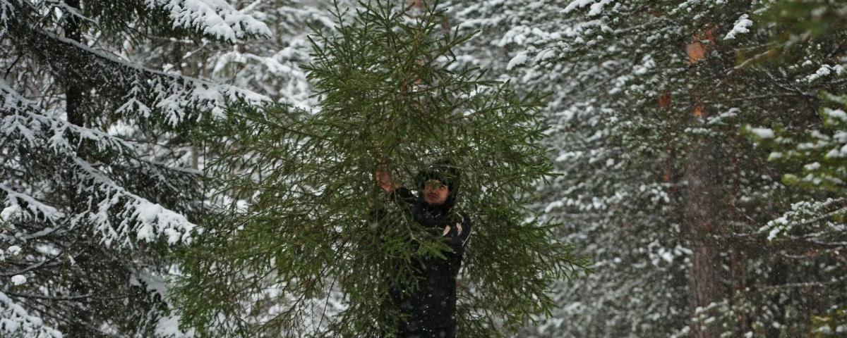 Количество лесных патрулей в Забайкалье возросло из-за приближения Нового года