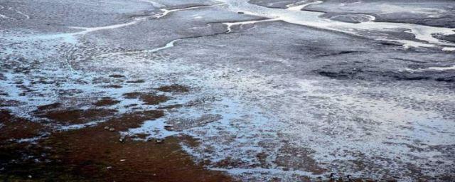 Причиной образования парниковых газов в Сибири названо таяние вечной мерзлоты