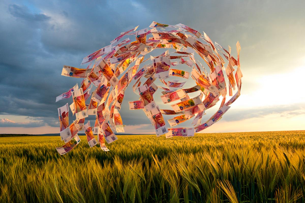 Глава Мордовии поручил усилить контроль за распределением субсидий в сельском хозяйстве