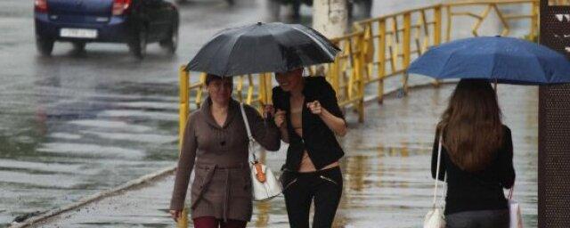 17 мая в Рязанской области ожидается небольшой дождь
