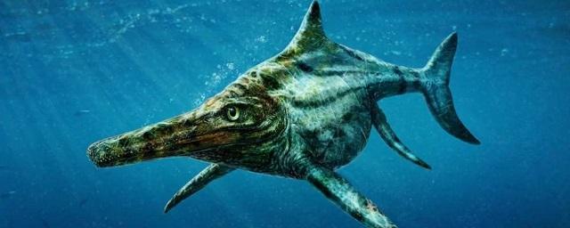 На Шпицбергене найдены самые древние останки ихтиозавра