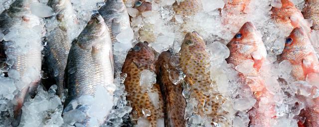 В Пензенской области уничтожили более 150 кг рыбы