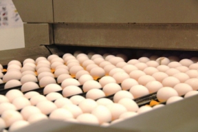 Губернатор Рязанской области Павел Малков сообщил об успехах  в сельском хозяйстве региона