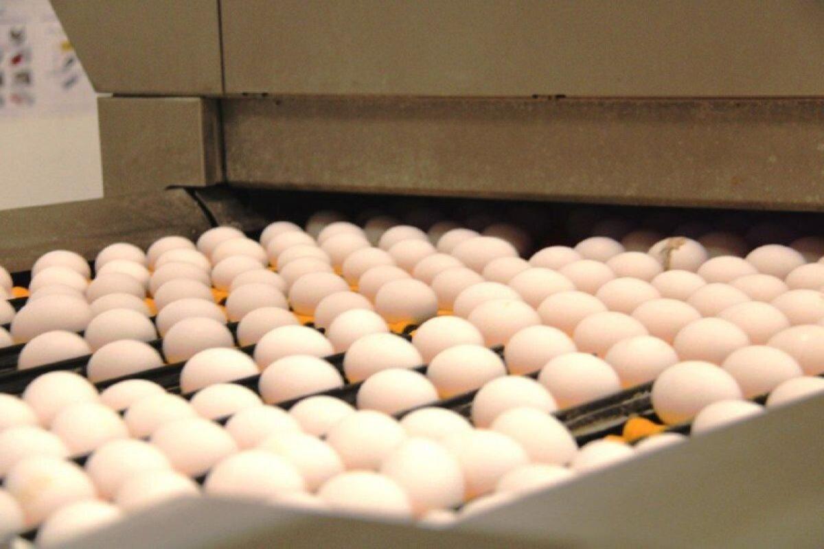 Губернатор Рязанской области Павел Малков сообщил об успехах в сельском хозяйстве региона