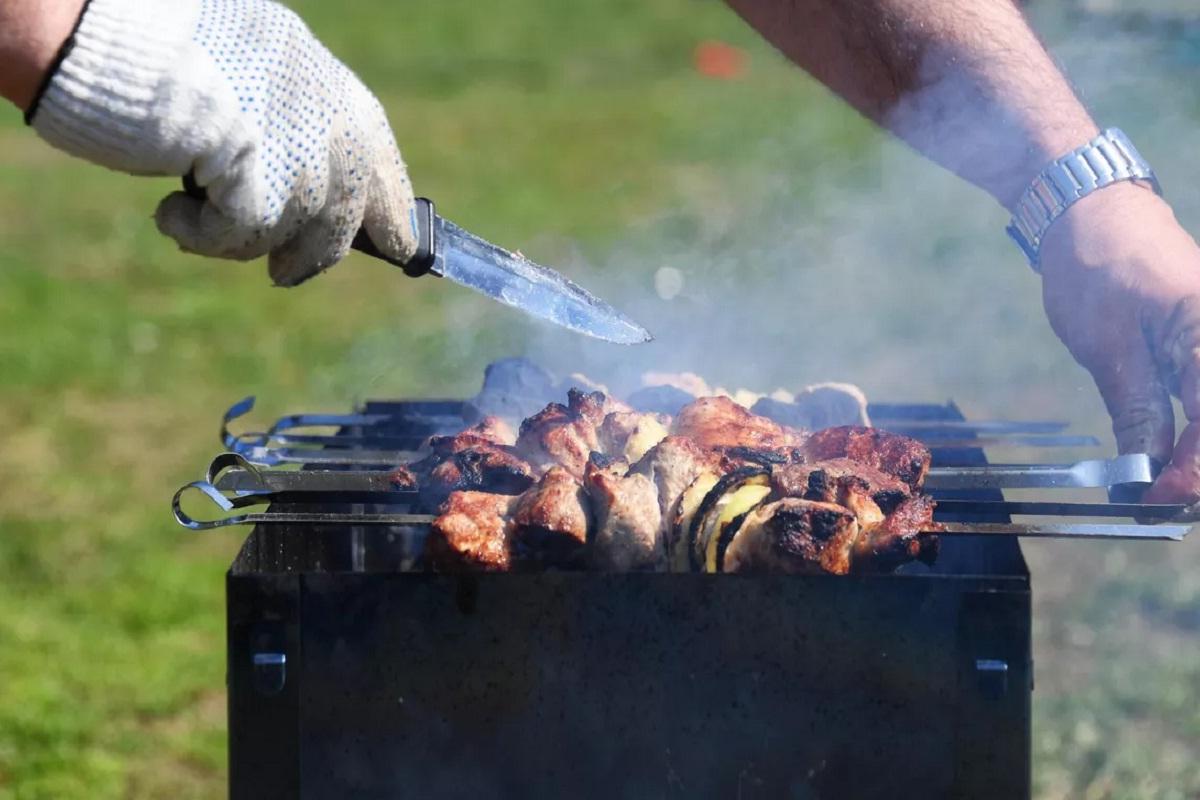 В пяти районах Новосибирской области запретили разведение костров