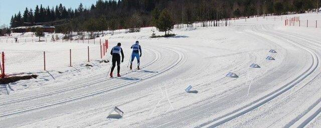 Лыжную базу построят на Алтае в 2024 году