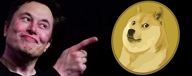 Илон Маск считает, что обновление пойдет на пользу сети Dogecoin
