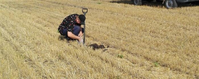 Росагрохимслужба в ЛНР проверит плодородие почвы на площади в 45 тысяч гектаров