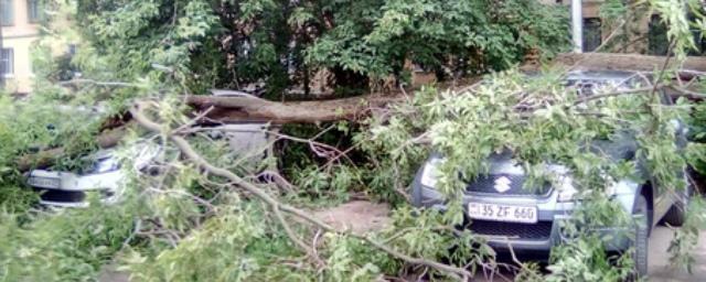 В Нижегородской области коммунальщики устраняют последствия урагана