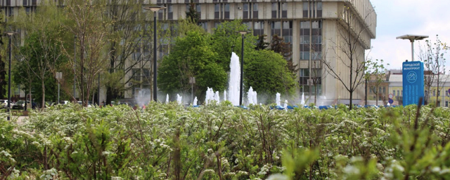 360 тысяч цветов и 460 молодых деревьев высадят на улицах Тулы