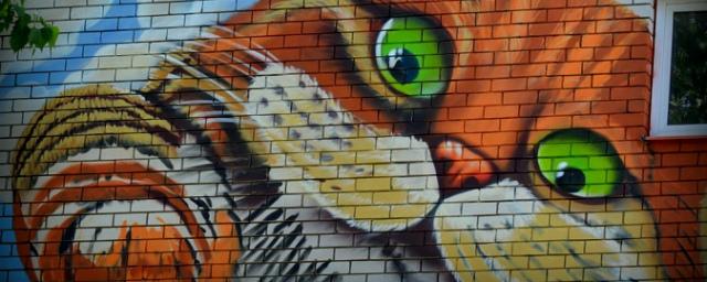 В Краснодаре к открытию готовится еще один граффити-парк