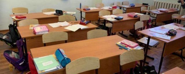 Безопасность школ Новосибирска проверят после трагедии в Казани