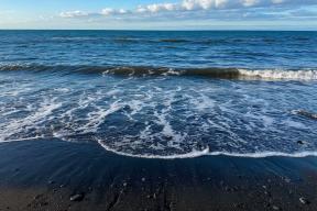 «Рай превратился в нефтяное пятно»: курортный рай на Шри-Ланке накрыло мазутом после ударов Ирана по танкерам — туристы в ловушке