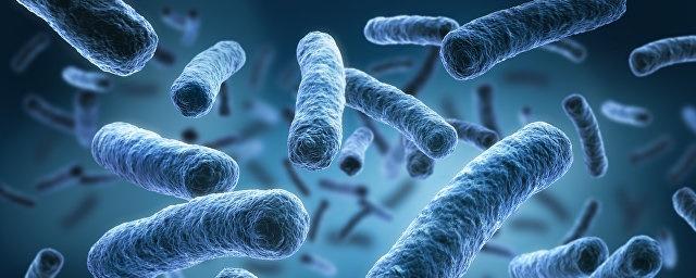 Микробы получают защиту от лекарств благодаря бактериям в кишечнике