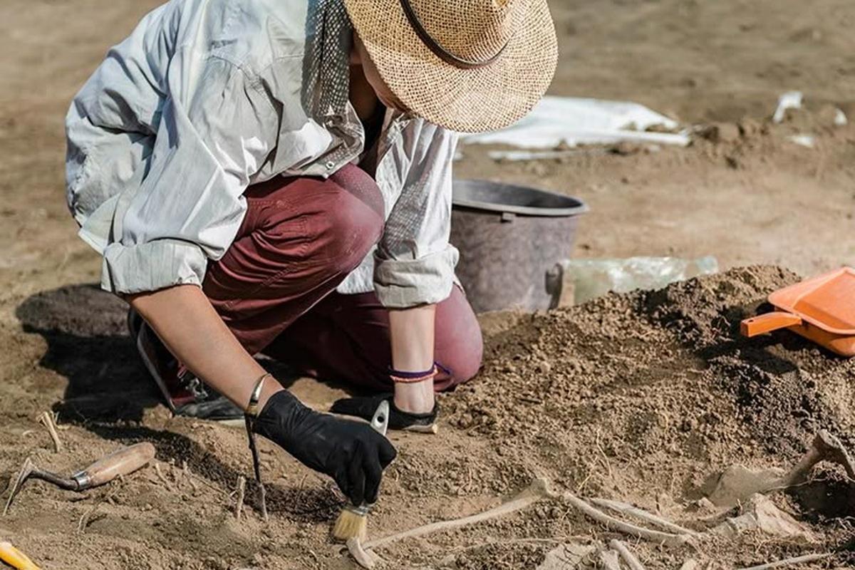 Римляне оставили тайный лагерь в лесах Нидерландов на территории варвар