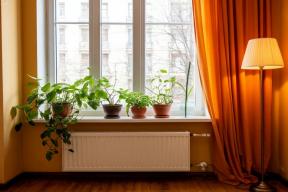 Секреты ЖКХ: бесплатные услуги для вашей квартиры