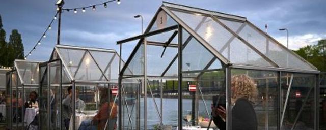 Ужин в теплице: Голландский ресторан нашел способ защиты посетителей во время коронавируса