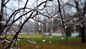 Жителям Московской области напомнили о правилах безопасности во время ледяного дождя