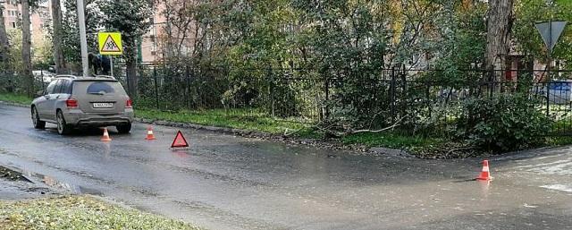 В Новосибирске под колеса Mercedes попал 10-летний ребенок