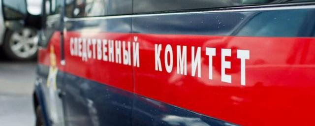 Следователи назвали причину смерти девочки в московском детском саду