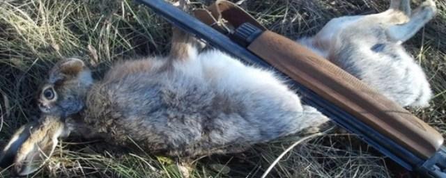 Волгоградского браконьера выявили по фото в соцсети