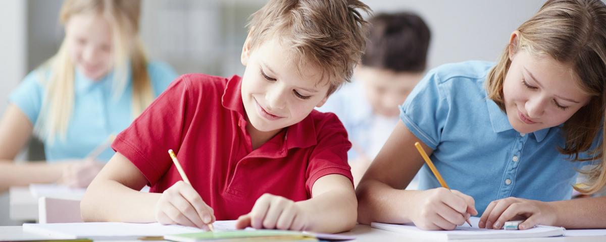 В Совете Федерации одобрили введение школьного предмета «Семьеведение»