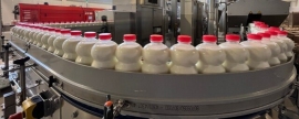 В Липецкой области нарастят производство молочной продукции до тысячи тонн в сутки