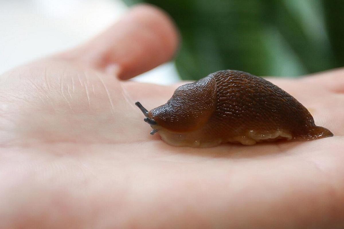 Эксперты рассказали, что больше всего тревожит жителей НСО