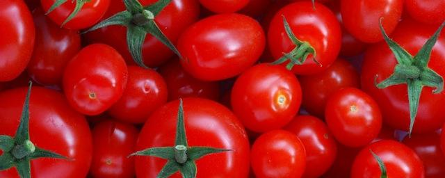 В Иркутске утилизировали 219 кг томатов