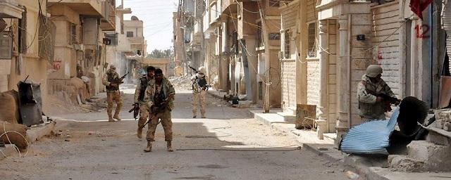 США подготовят больше бойцов сирийской оппозиции для освобождения Ракки