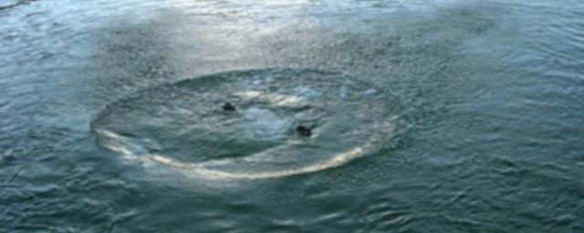 В Оренбургской области спасатели вытащили из реки Кисла двух едва не утонувших пловцов