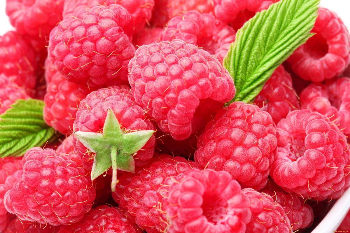 Медик Татьяна Солнцева рассказала о полезных свойствах ягод