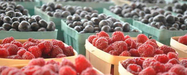 Минсельхоз РФ: в текущем году российские аграрии соберут порядка 1,5 млн тонн плодов и ягод